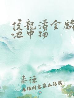 侯龙涛金麟岂是池中物