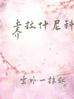 卡拉什尼科夫简介