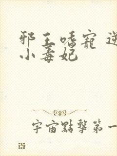 邪王嗜宠 逆天小毒妃