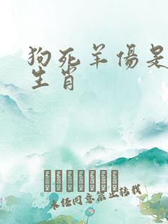 狗死羊伤是什么生肖