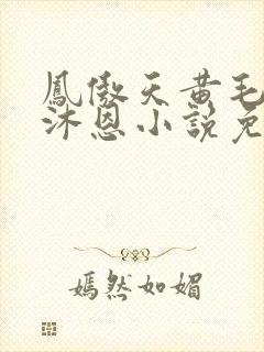 凤傲天黄毛反派沐恩小说免费观看
