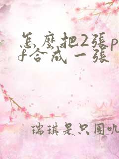 怎么把2张pdf合成一张