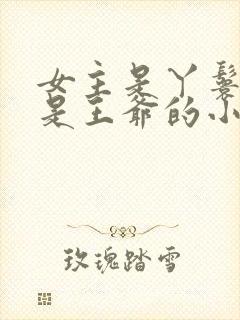 女主是丫鬟男主是王爷的小说