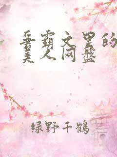 争霸文里的娇软美人网盘