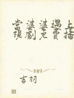 当婆婆遇上妈电视剧免费播放