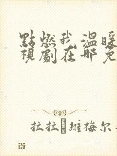 点燃我温暖你电视剧在哪免费观看