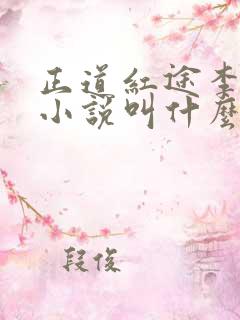 正道红途李初年小说叫什么名字