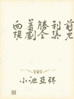 向着胜利前进电视剧全集免费观看