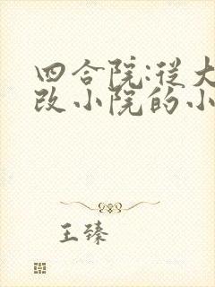 四合院:从大房改小院的小说
