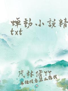 蝉动小说精校版txt