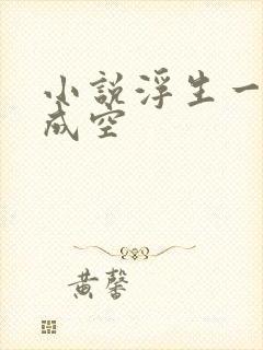 小说浮生一梦爱成空