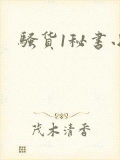 骚货1秘书小说