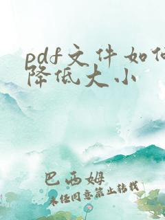pdf文件如何降低大小