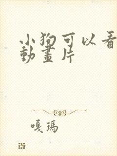 小狗可以看懂的动画片
