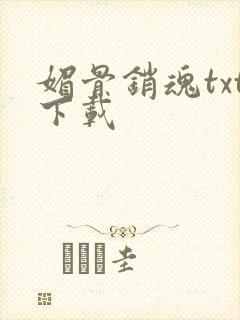 媚骨销魂txt下载