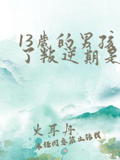 13岁的男孩到了叛逆期是怎么教