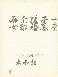两个孩子一男一女离婚怎么判决抚养权