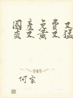 国产免费又色又爽又黄又猛