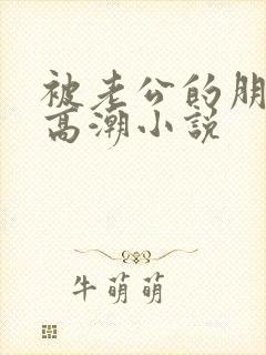 被老公的朋友操高潮小说