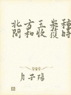 北方玉米种植时间和收获时间