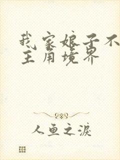 我家娘子不对劲主角境界