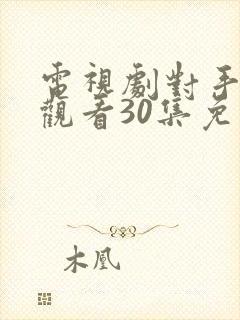 电视剧对手在线观看30集免费