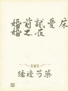 婚前试爱床戏新婚之夜