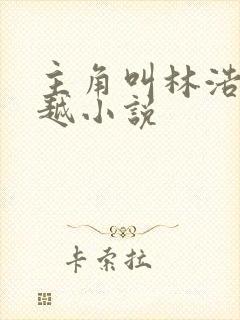 主角叫林浩的穿越小说