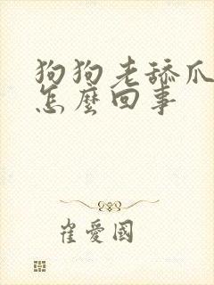狗狗老舔爪子是怎么回事