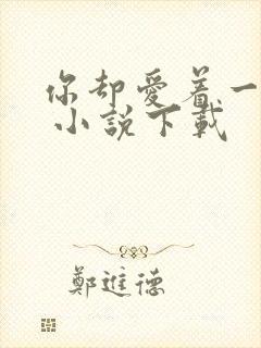 你却爱着一个他 小说下载