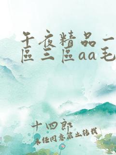 午夜精品一区二区三区aa毛片