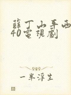 薛丁山平西全集40电视剧