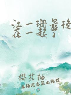江一珊最后和谁在一起了