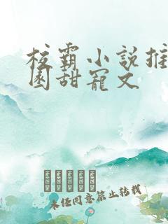 校霸小说推荐校园甜宠文