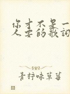 你才不是一个没人要的歌词