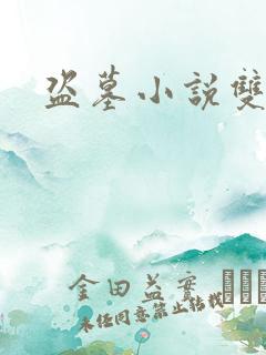 盗墓小说双男主