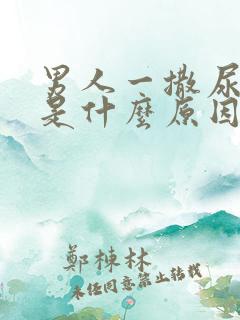 男人一撒尿就疼是什么原因