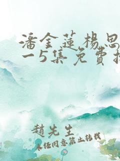 潘金莲杨思敏1一5集免费播放