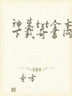 神墓txt全本下载奇书网