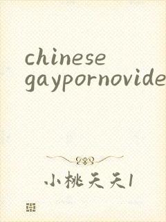 chinesegaypornovideos