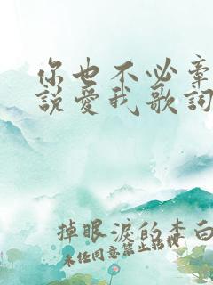 你也不必牵强再说爱我歌词