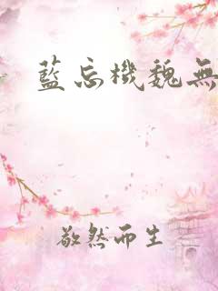 蓝忘机魏无羡.