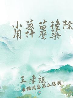 小葱苗后除草剂用什么药