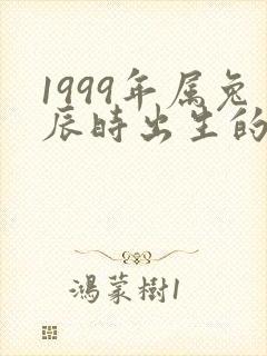 1999年属兔辰时出生的男孩命运