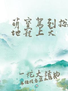 萌宝驾到总裁爹地宠上天