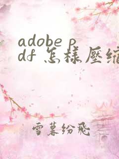adobe pdf 怎样压缩文件大小