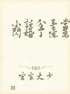 小说分手当天我闪婚了亿万富豪