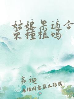 姑娘果适合在山东种植吗