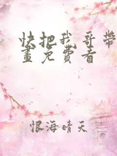 快把我哥带走动画免费看