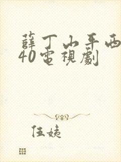 薛丁山平西全集40电视剧